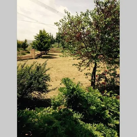 Akyazi Garden Havuzlu *