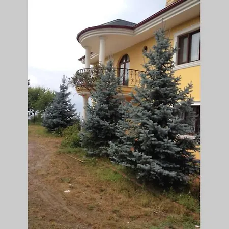 Akyazi Garden Havuzlu Villa Akyazi (Trabzon)