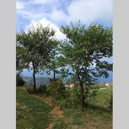 Akyazi Garden Havuzlu *